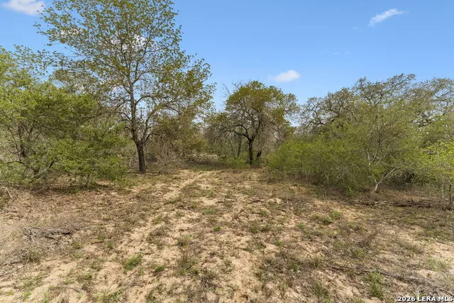 174 Adcock Lane Somerset, TX 78069